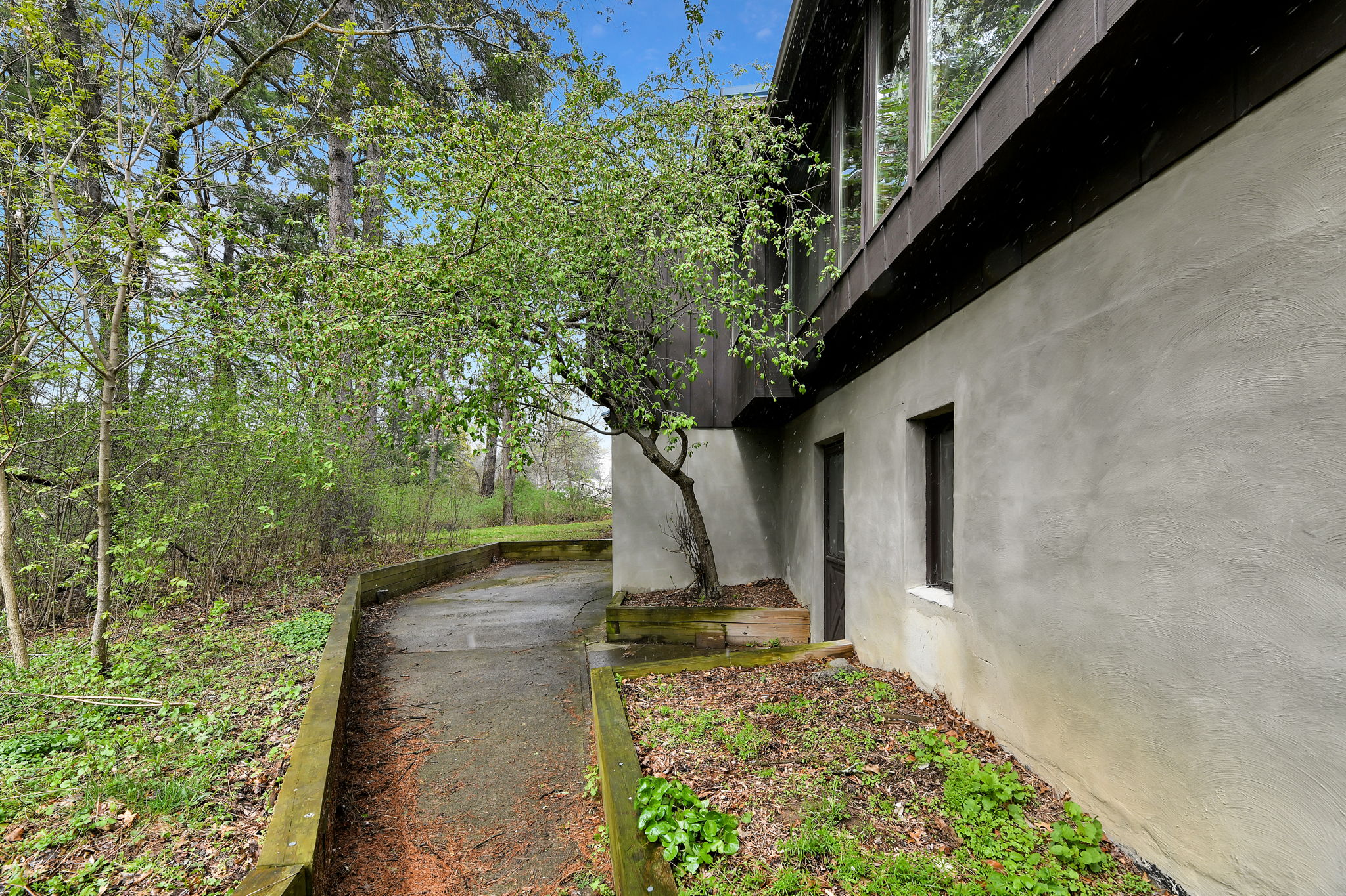  Photo 45