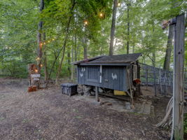 Photo 41