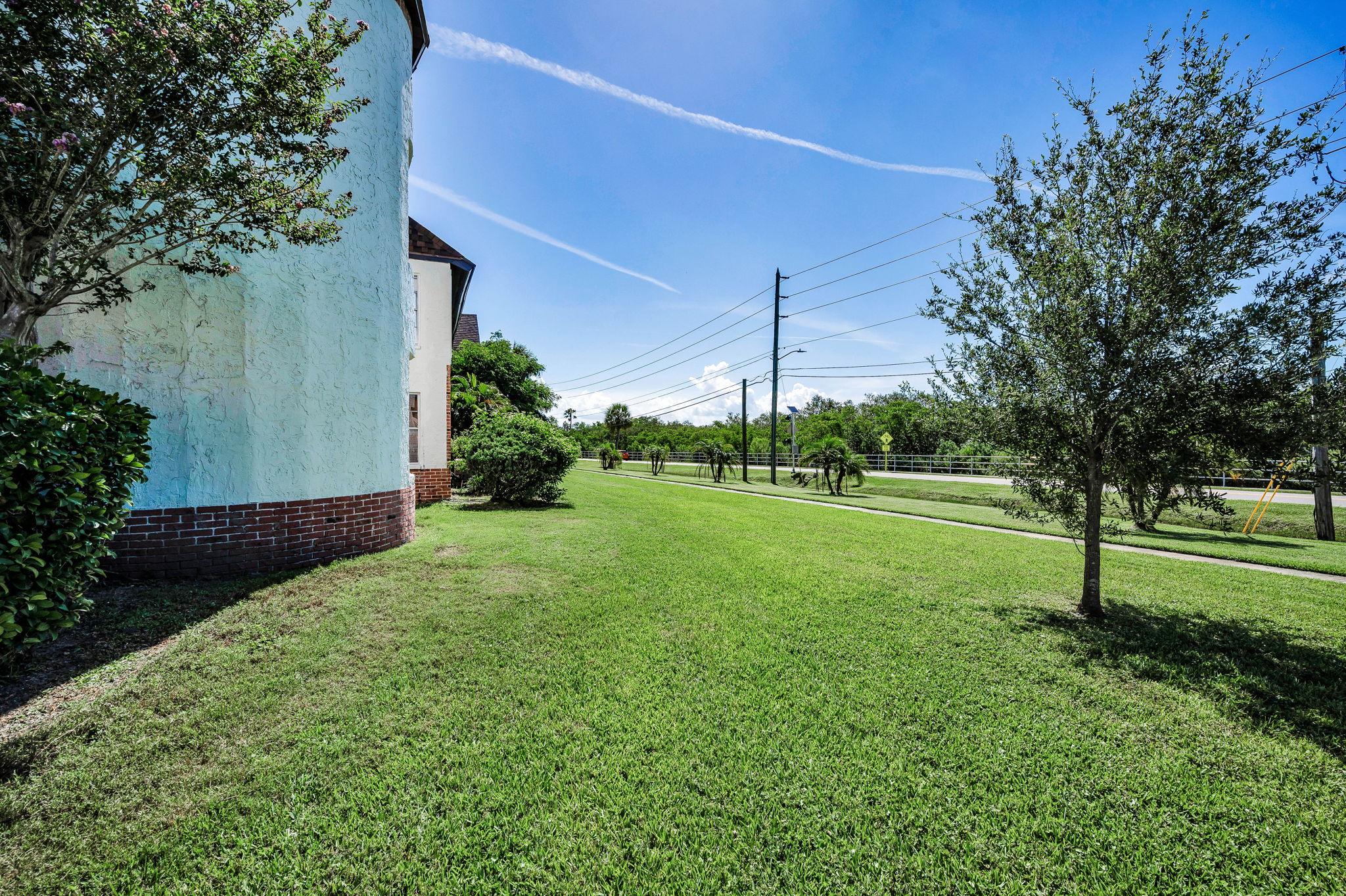 Backyard2