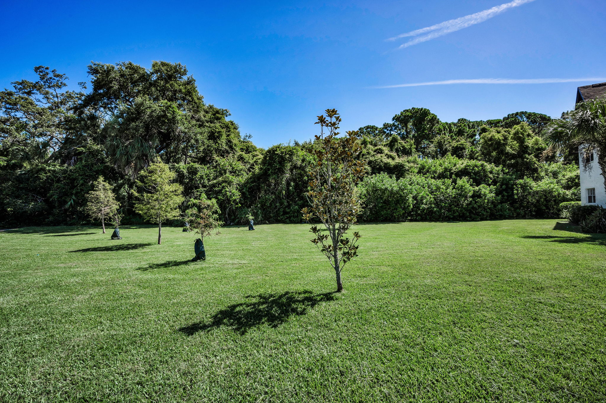 Frontyard2