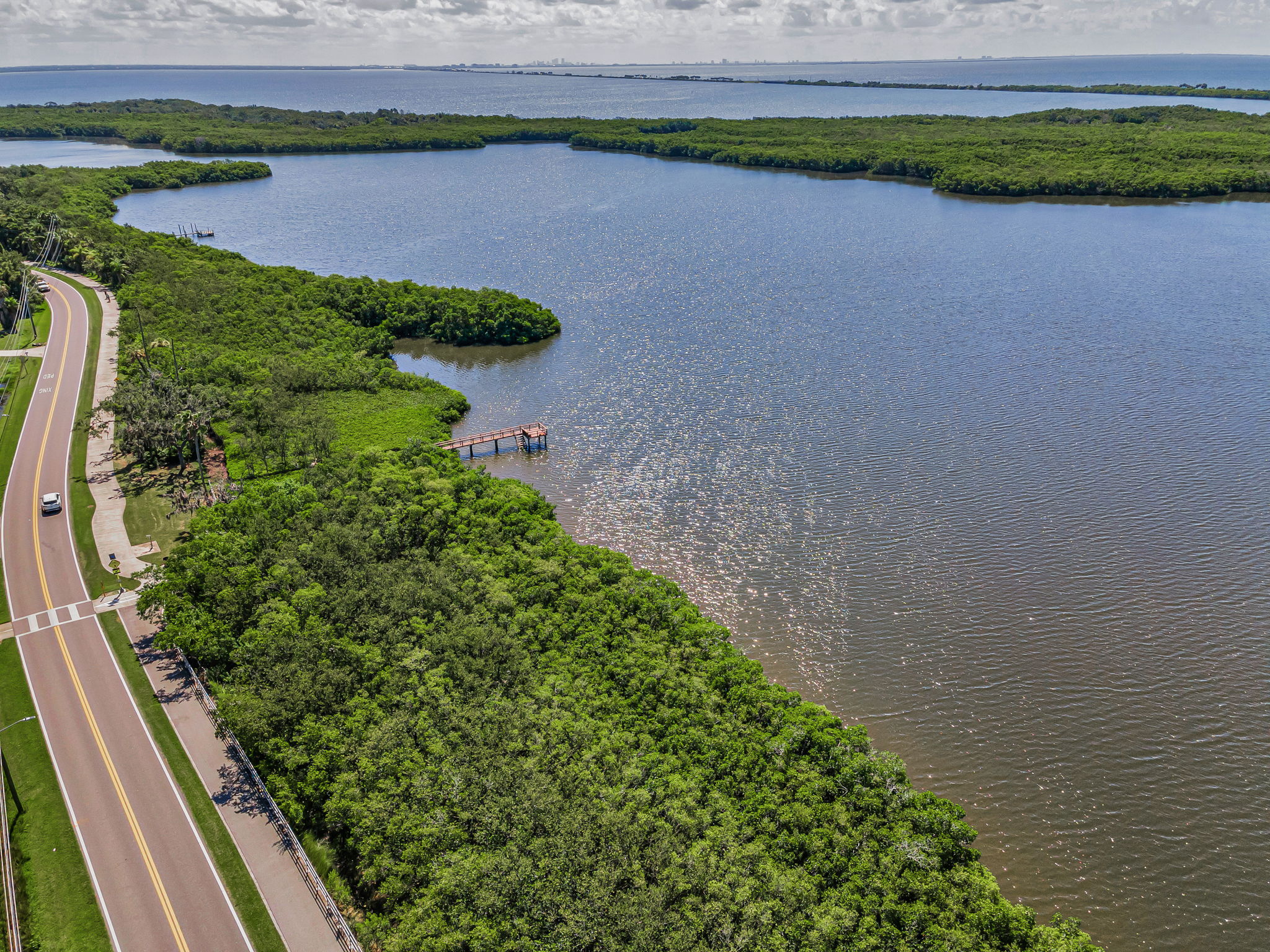 Aerial (14)