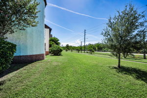 Backyard2