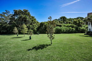Frontyard2