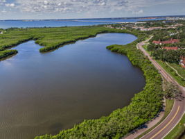 Aerial (7)
