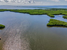 Aerial (8)