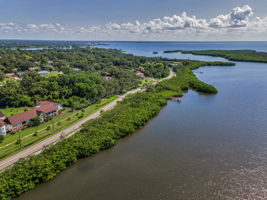 Aerial (11)