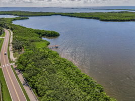 Aerial (14)