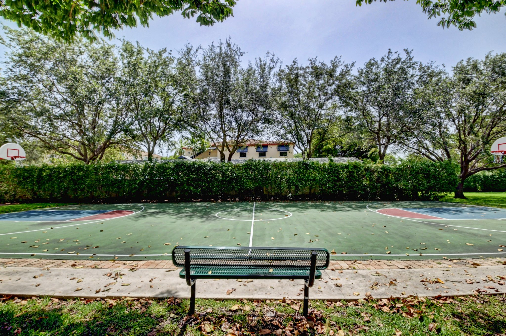  Photo 46