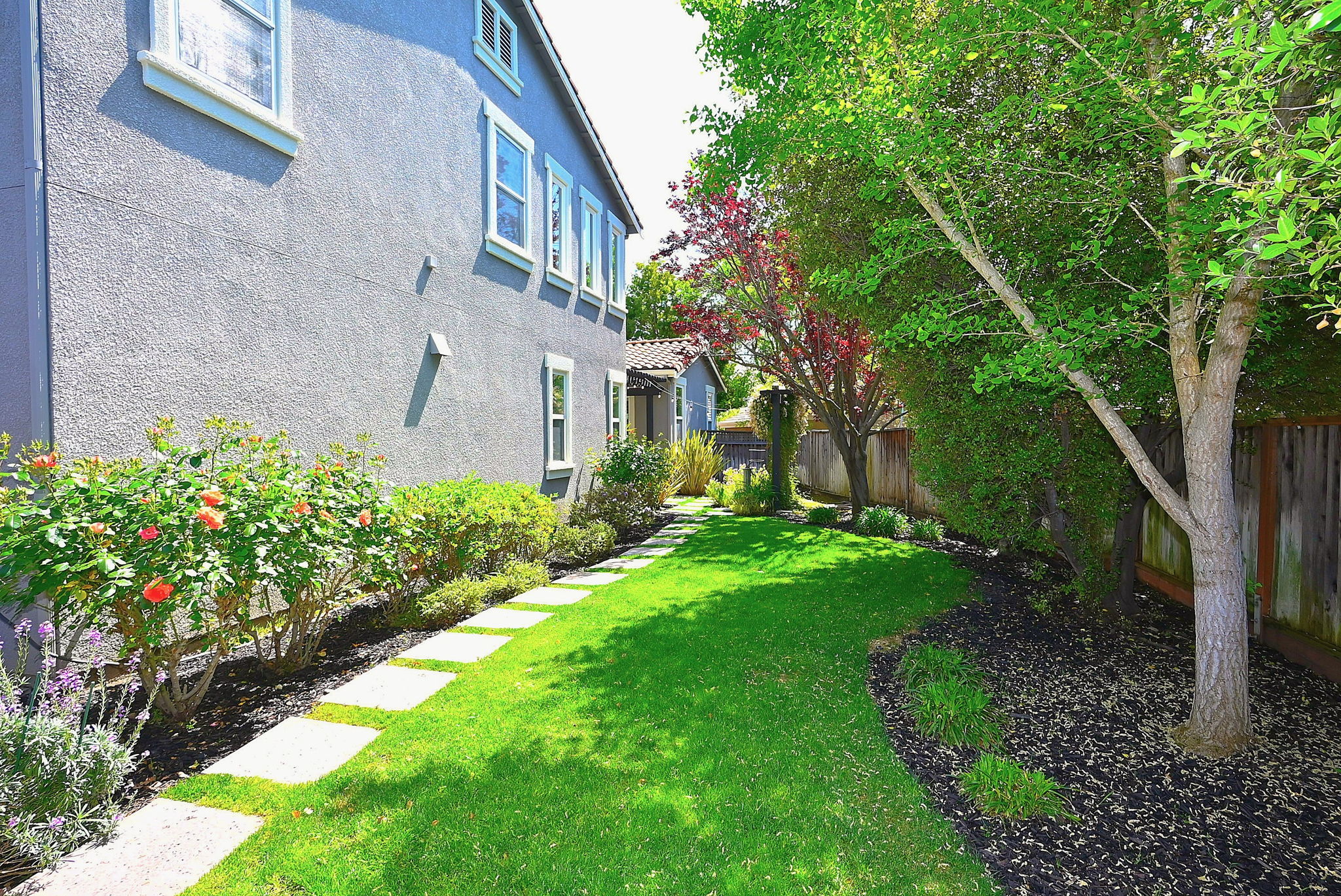 Side Yard
