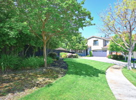 Spacious Front Yard