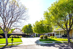 4 Car Driveway