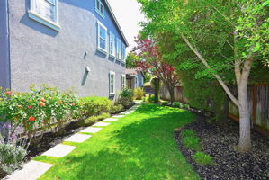 Side Yard