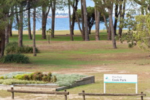 320 The Grand Parade, Sans Souci_32