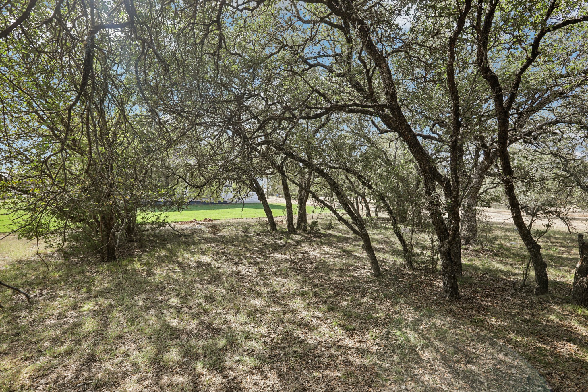 Yellow Ribbon Trl-S0910-054.jpg