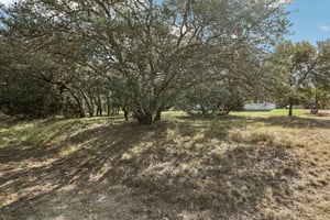 Yellow Ribbon Trl-S0910-052.jpg