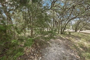 Yellow Ribbon Trl-S0910-053.jpg