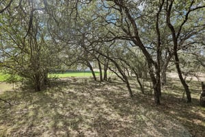 Yellow Ribbon Trl-S0910-054.jpg