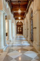  Photo 50
