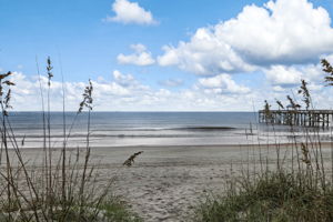 Beach View