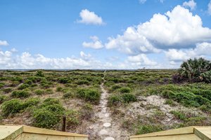 Ocean Dunes