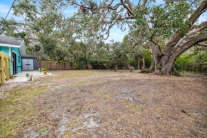  Photo 30