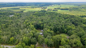  Photo 47