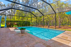 32050 Garden Alcove Loop, Wesley Chapel, FL 33545, USA Photo 39