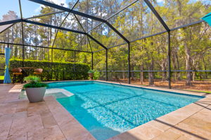 32050 Garden Alcove Loop, Wesley Chapel, FL 33545, USA Photo 41
