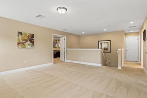 32050 Garden Alcove Loop, Wesley Chapel, FL 33545, USA Photo 31