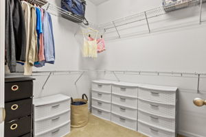 32050 Garden Alcove Loop, Wesley Chapel, FL 33545, USA Photo 28