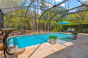 32050 Garden Alcove Loop, Wesley Chapel, FL 33545, USA Photo 38
