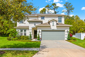 32050 Garden Alcove Loop, Wesley Chapel, FL 33545, USA Photo 1