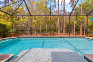 32050 Garden Alcove Loop, Wesley Chapel, FL 33545, USA Photo 43