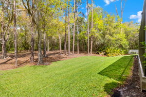 32050 Garden Alcove Loop, Wesley Chapel, FL 33545, USA Photo 45
