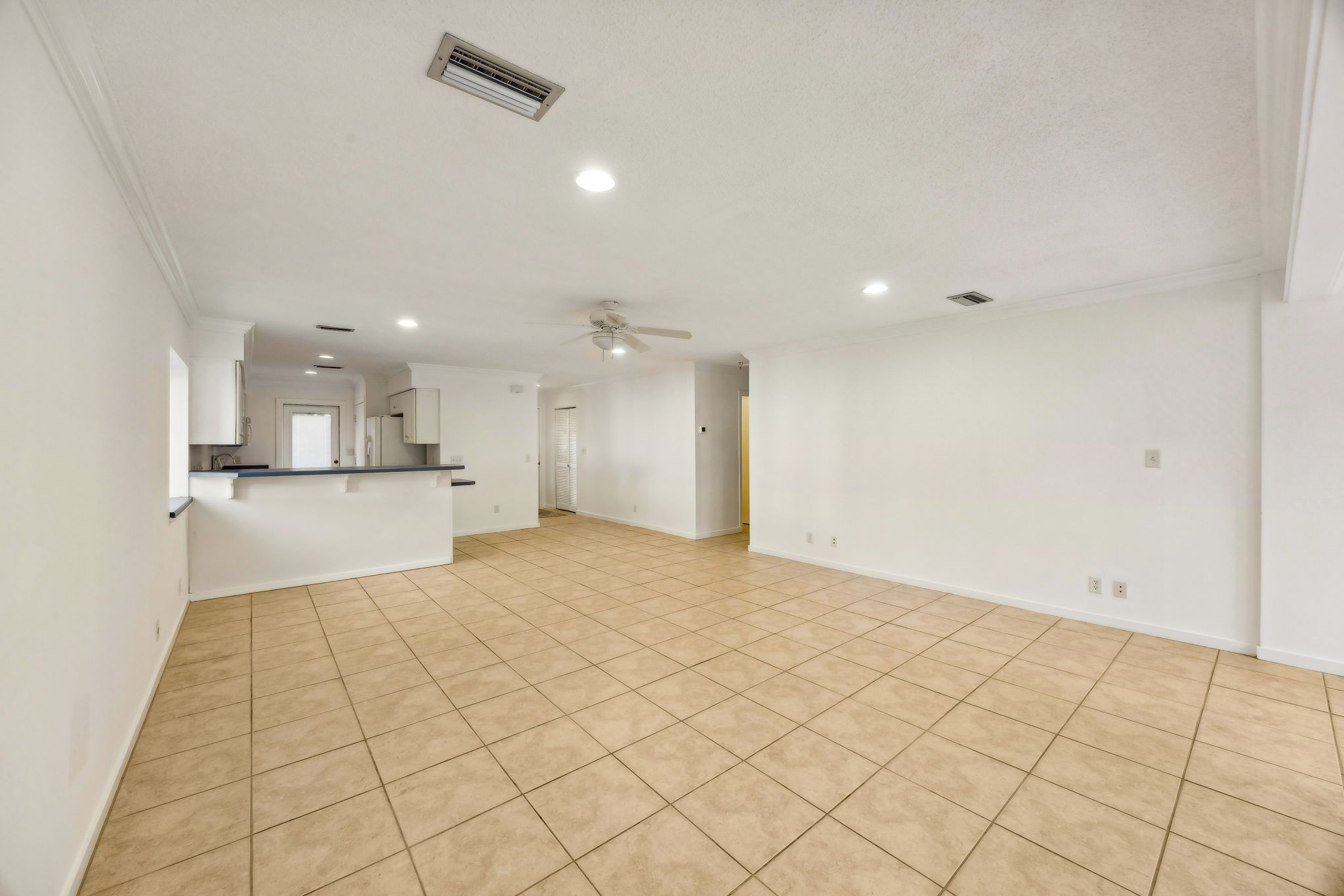 Living Room / Dining Area