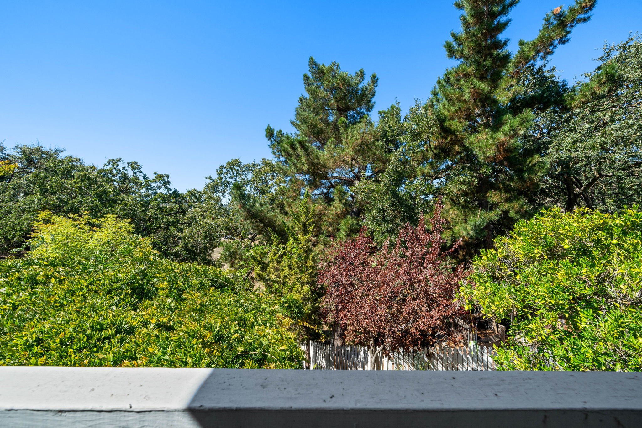  Photo 55