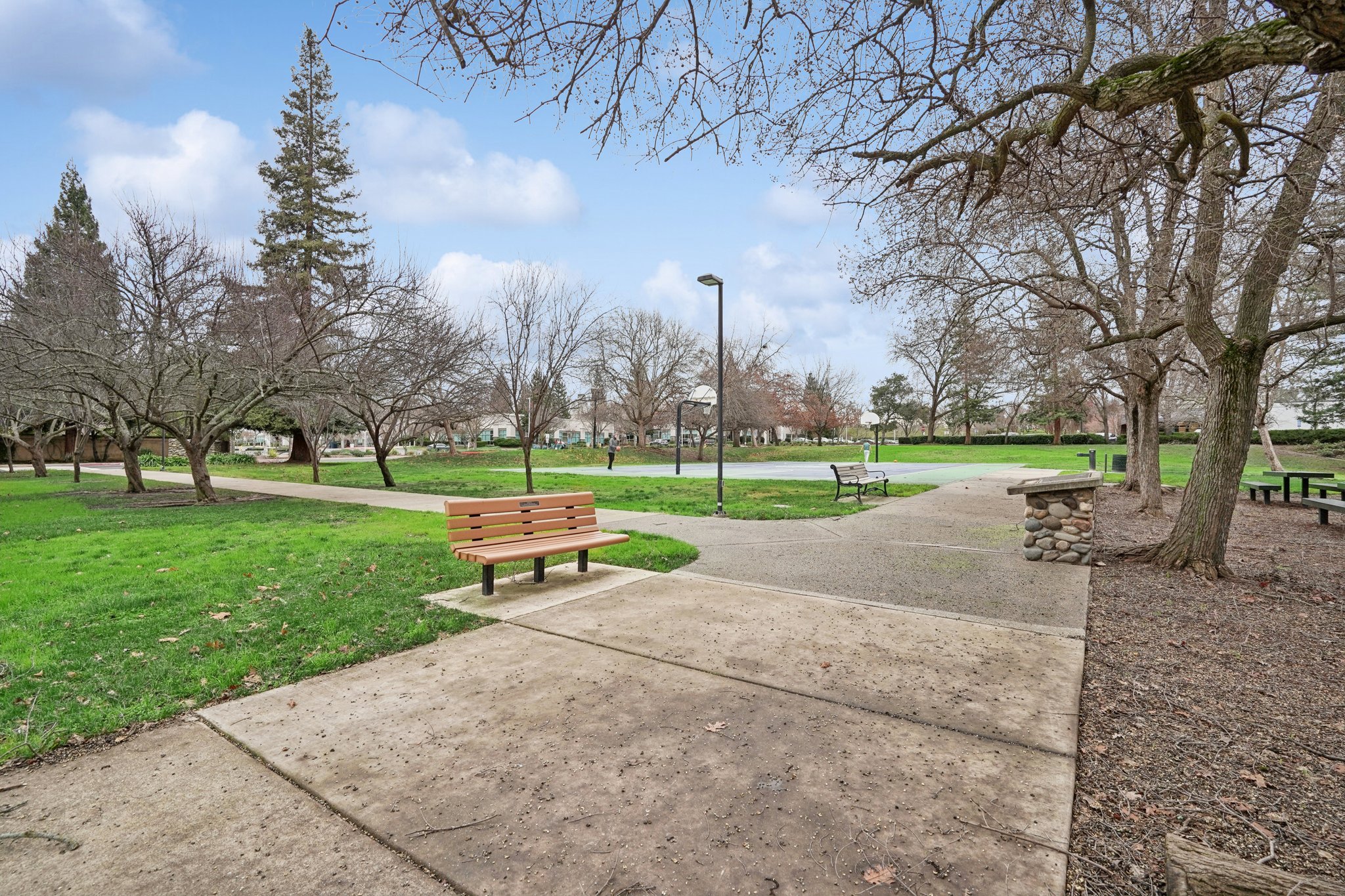 Baird Dr-0601-908.jpg