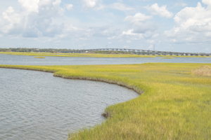 321 Cape Lookout Loop, Emerald Isle, NC 28594, USA Photo 58