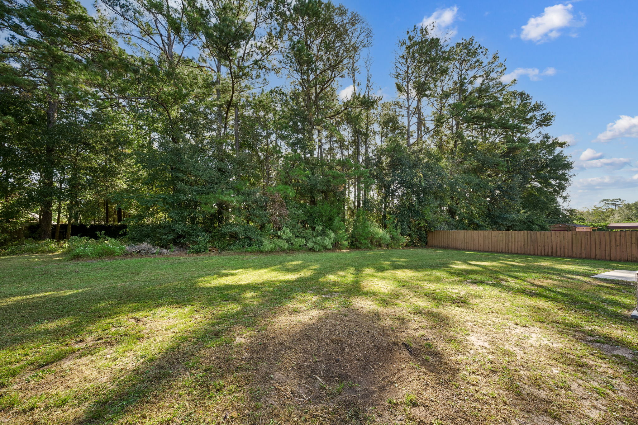 Backyard