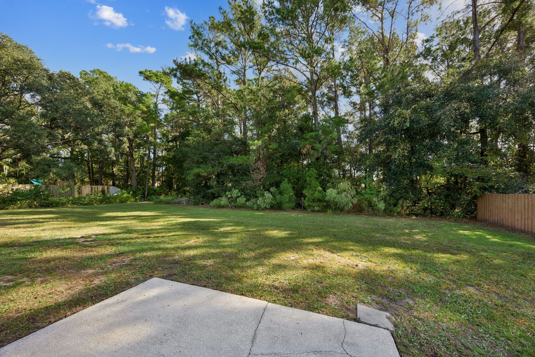 Backyard