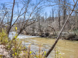  Photo 49