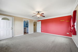 252A1131