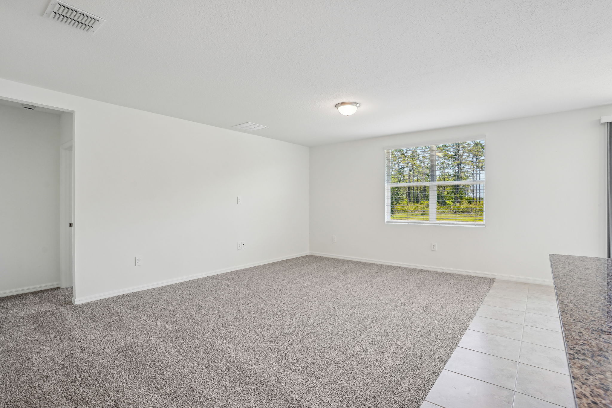 Orlando - Lake Deer Estates - 3210 Viceroy Ct Haines City FL 33844 - 005