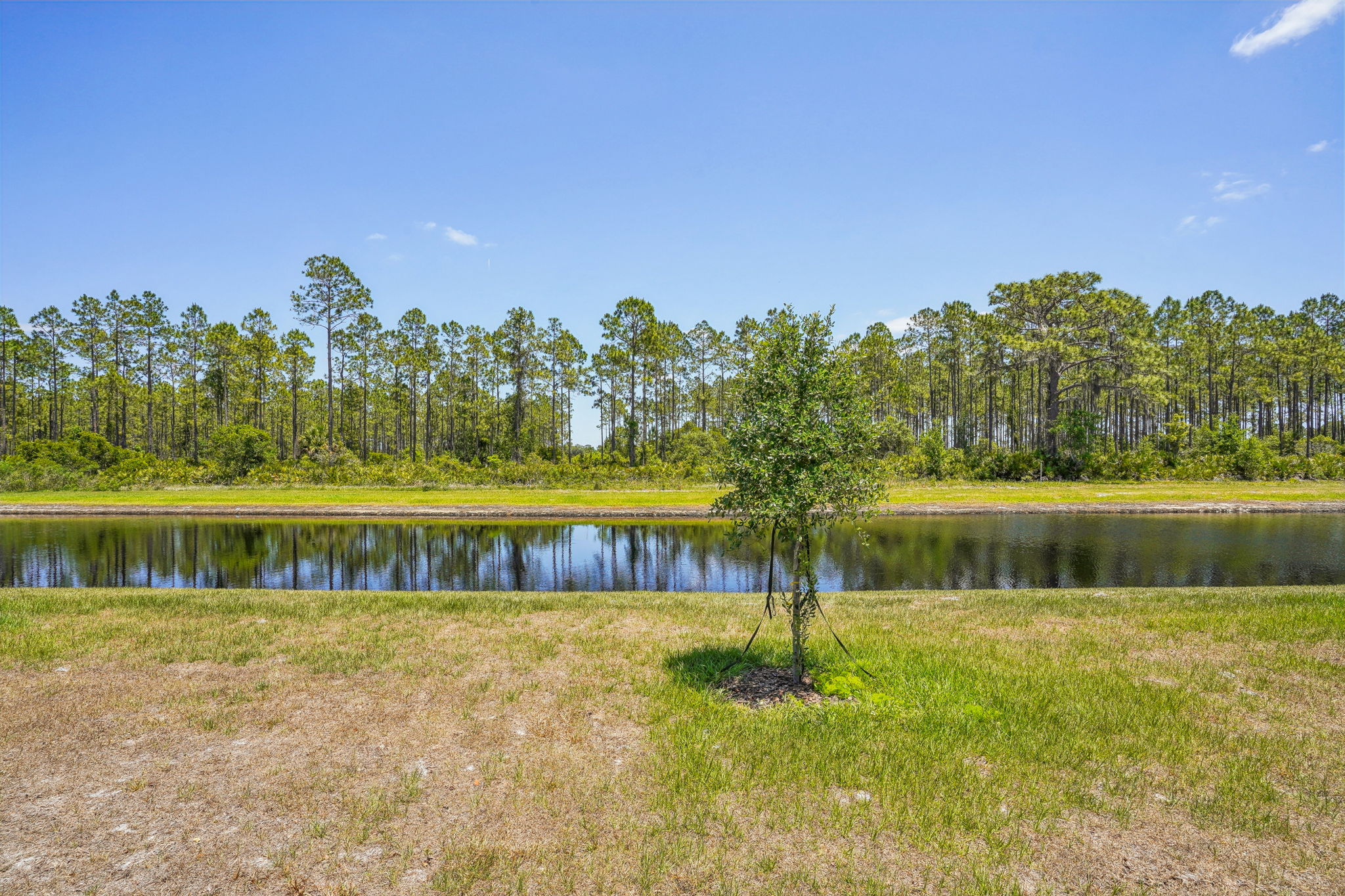 Orlando - Lake Deer Estates - 3210 Viceroy Ct Haines City FL 33844 - 029