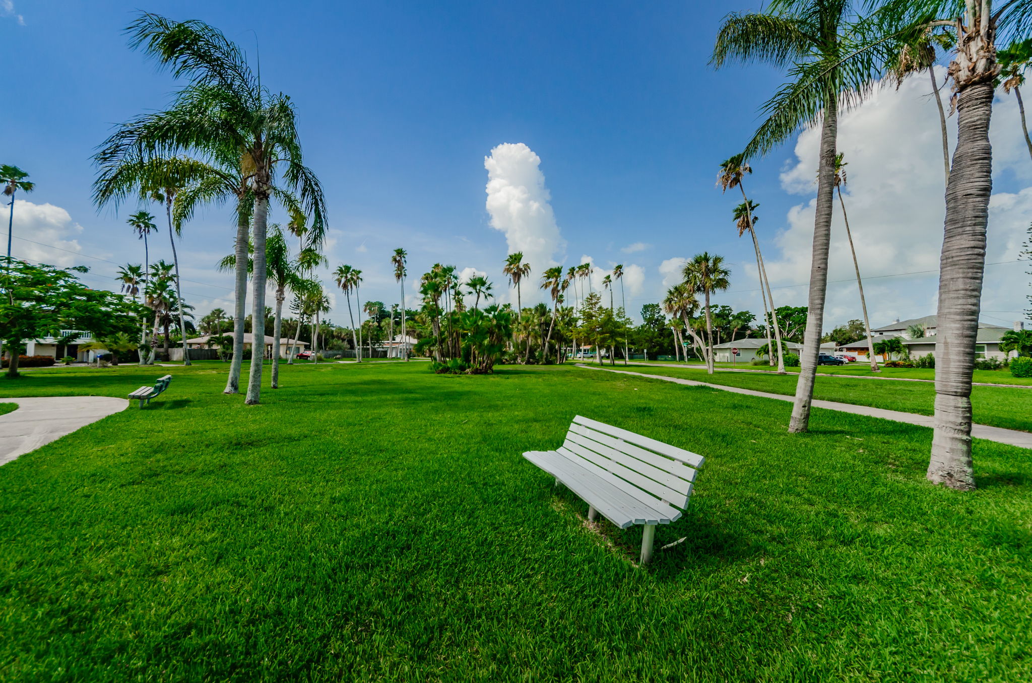 Lazarillo Park 1