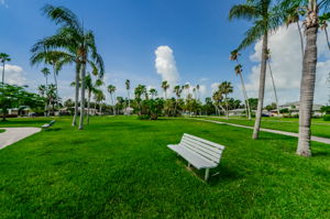 Lazarillo Park 1