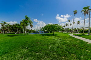 Lazarillo Park 2