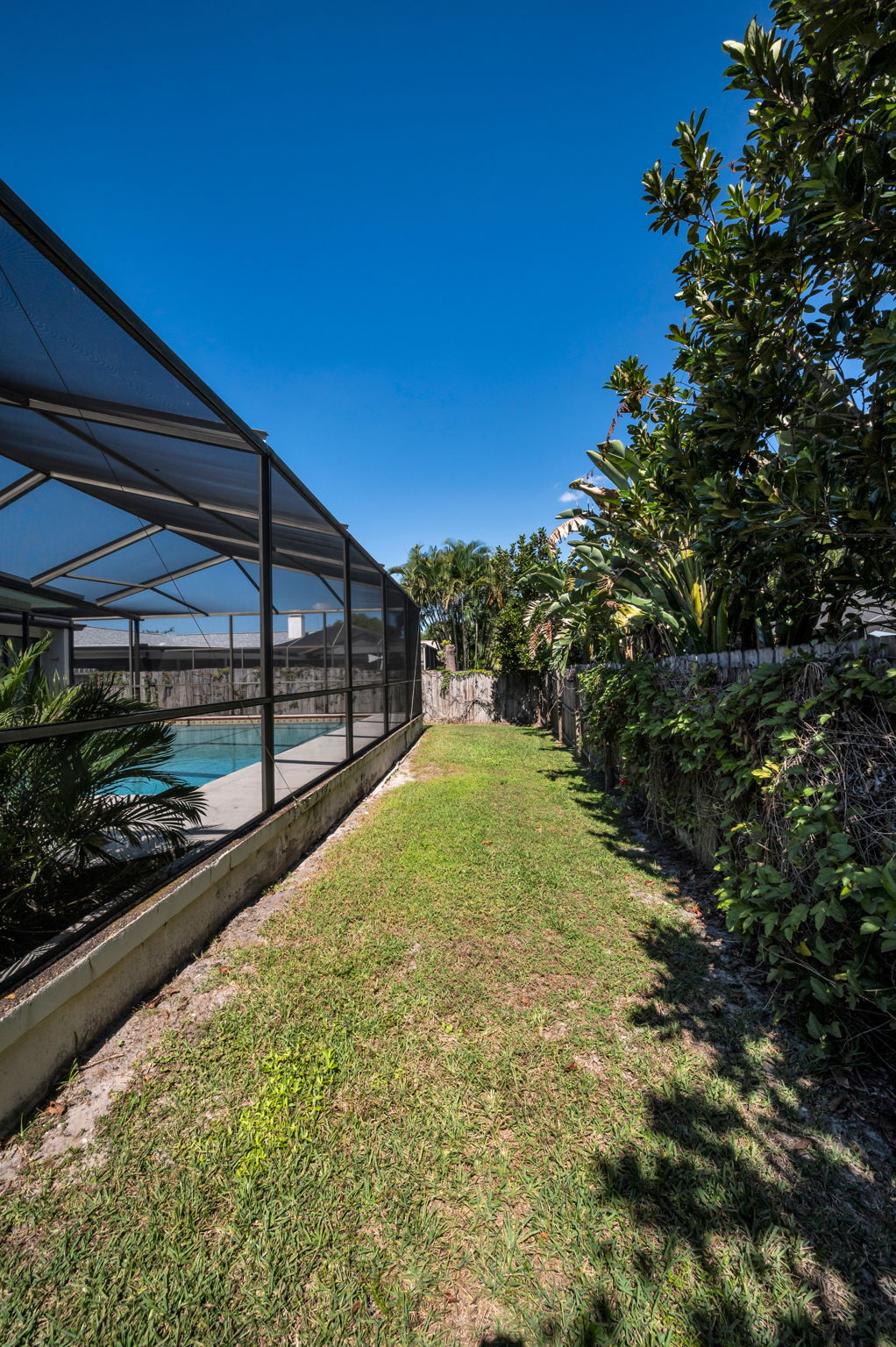 Backyard4
