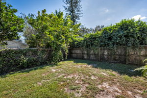 Backyard1