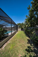 Backyard4